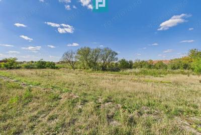 Teren intravilan 6115mp pentru investi?ii Firiteaz - 4