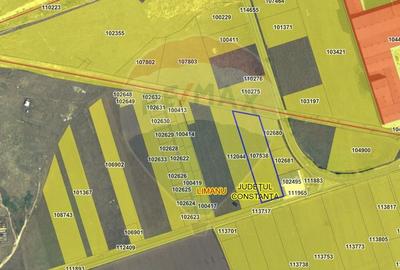 Teren 10,000mp Mangalia-Limanu / Drumul 391 - 3