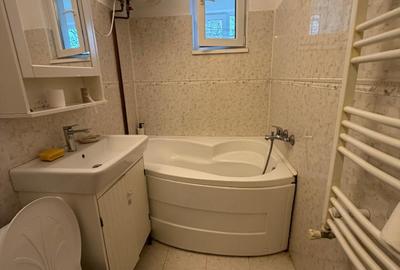 Baba Novac- langa Parc IOR - 13