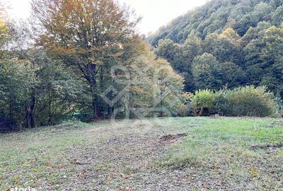 Teren de 2482 mp, în Ciupercenii Noi - 10