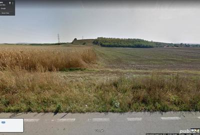Teren de 8760 mp, în Vințu de Jos - 1