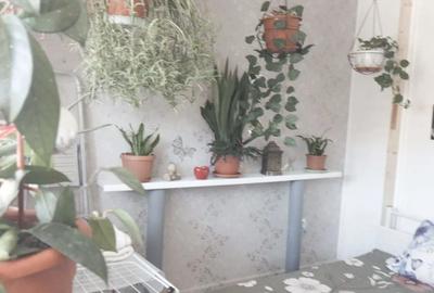 Apartament cu 2 camere semidecomandat în Central - 5