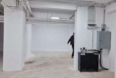 Cismigiu, sp com 386 mp - 6