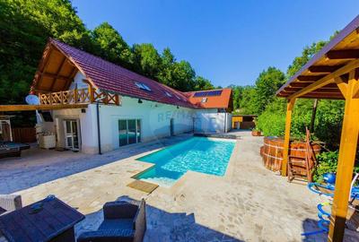 Casa de vis in Loc. Intrerauri - 15