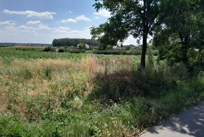 Teren Construcții intravilan de 16500 mp, în Teișori - 1