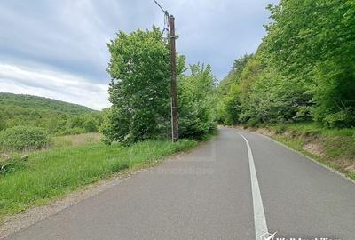 Teren 5000 mp,  la 300 m de Lacul Micesti - 4