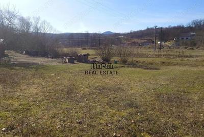 Teren de 3384 mp, în Sud - 6