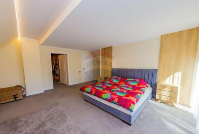 Casa de vis in Loc. Intrerauri - 1