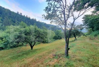 Teren de 3100 mp, în Central - 7