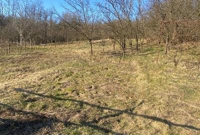 Casă individuală cu 2 camere cu Teren 2519 Mp în Govora - 7