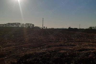 Teren de 4850 mp, în Dobreni - 10