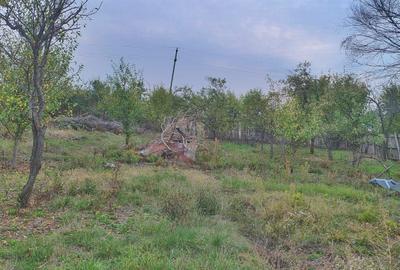 Spațiu comercial, în Podu Broșteni - 3