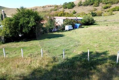 Teren de 4448 mp, în Târnava - 1