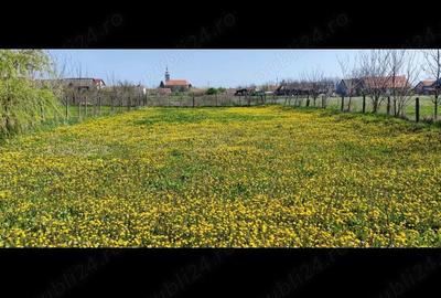 Casă cu 4 camere cu Teren 1781 Mp în Checea - 7