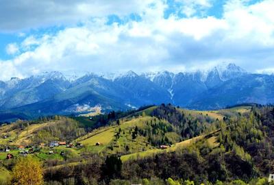 Teren de 5000 mp, în Moieciu - 3