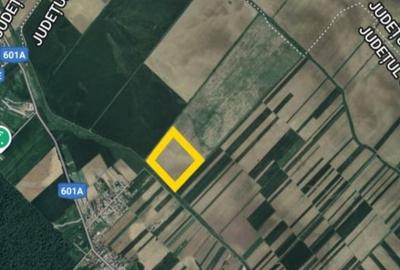 Teren extravilan 16,3 ha | Cosoba, Giurgiu | fotovoltaice - 2