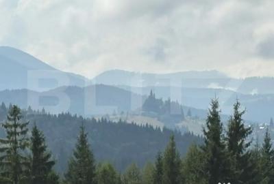 Teren de 20000 mp, în Central - 10