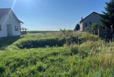 Teren de 7700 mp, în Cotu Băii - 1