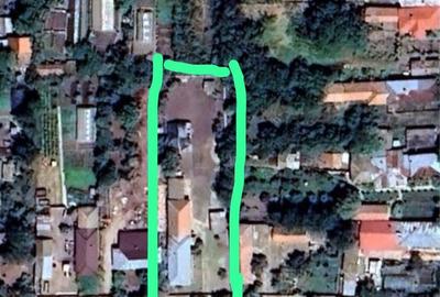 Casă cu 4 camere în Buzescu - 4