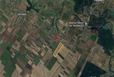 Teren de 400000 mp, în Călugăreni - 2