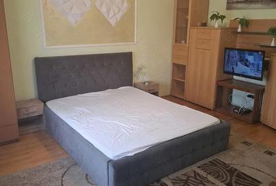 Garsonieră semidecomandată în Cetate - 5