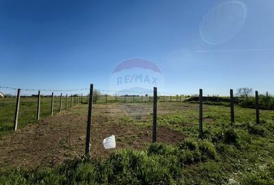 Teren 430mp Techirghiol / Parcela A233 - 1