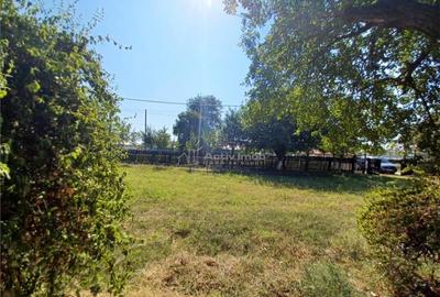 Casa Giurgiu- Ghimpati Sat Bila - 10