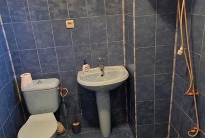 Casă cu 3 camere cu Teren 1540 Mp în Pâncota - 6