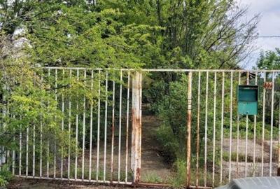 Teren la 35 km de Bucuresti - Izvorani - Ciolpani - 10
