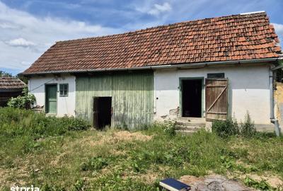 Casă cu 4 camere cu Teren 864 Mp în Bârzava - 9