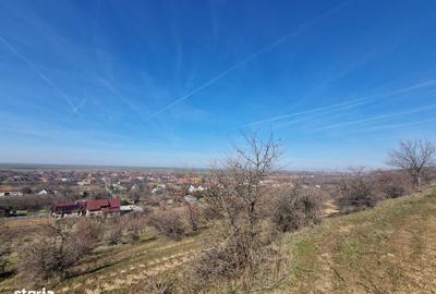 Teren de 3664 mp, în Ghioroc - 5