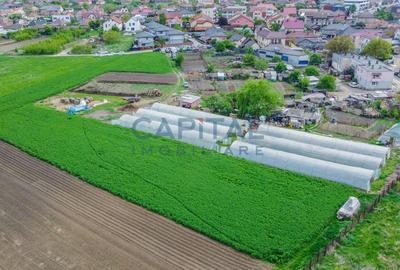 Teren de vanzare in Apahida - 6