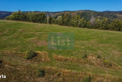 Teren de 1000 mp, în Băișoara - 6