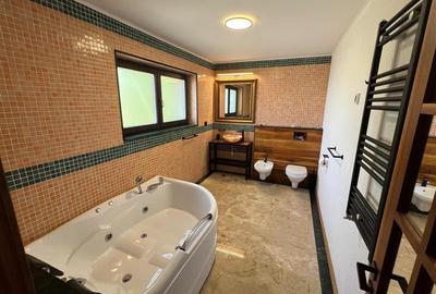 Casă individuală cu 4 camere cu Canalizare în Sânpetru - 6