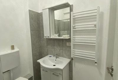 Garsonieră în Dumbrăvița - 4