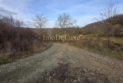 Teren extravilan langa lac, 8500mp, priveliste, acces, utilitati, zona Baciu - 4