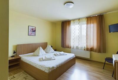 Pensiune in Arad (Vladimirescu) pe DN7 - 10