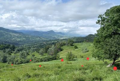 Teren intravilan de 2800 mp, în Bisoca - 1