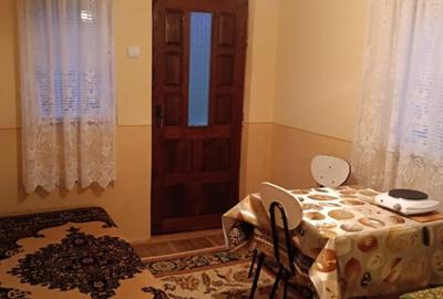 Casa cu teren in comuna Botesti, judetul Arges - 2