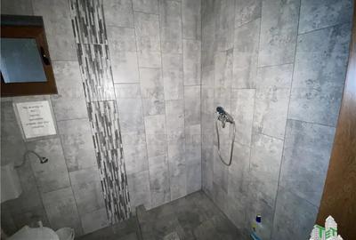 Spatiu 180 mp inchiriere pt. depozitare, birouri, zona Doamna Ghica - 6