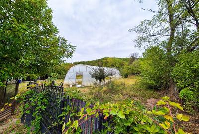 Casa , teren intravilan Valea Mare Stefanesti Arges - 3