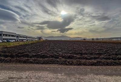 Teren industrial, intravilan, cu utilitati, Stupini, 11.600 mp - 6