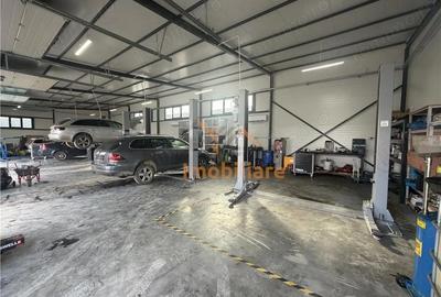 Spațiu comercial, de 650 mp, în Cihei - 17