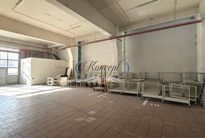 Spatiu industrial cu birouri pe Bulevardul Muncii - 4