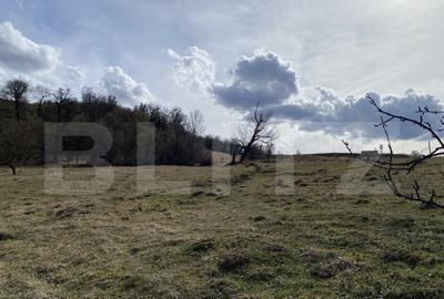 Teren extravilan in suprafata de 7500 mp la poalele Mesesulu - 7