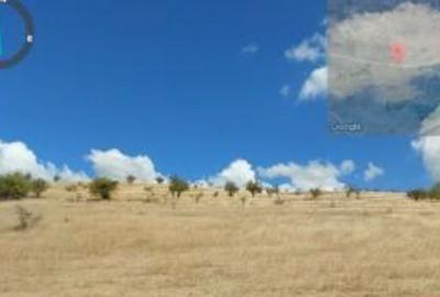 Teren extravilan Loc. Bucovat sat Sarbatoarea, jud. Dolj - 5