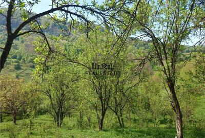 Teren intravilan si cladire in Apuseni, Blajeni, Hd - 6