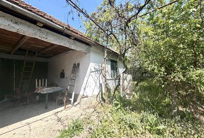 Casă cu 5 camere cu Teren 1788 Mp în Căpâlna - 7