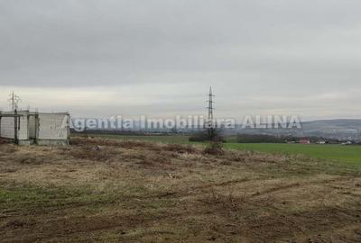 Teren 3525 mp in Satul Pestisu Mare, Jud. Hunedoara si casa neterminata... - 3