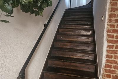 Decebal- Dristorului - 7